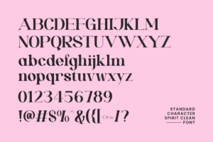 Alternative view of Spirit Clean Font