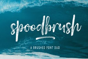 Spoodbrush - Font Duo Font