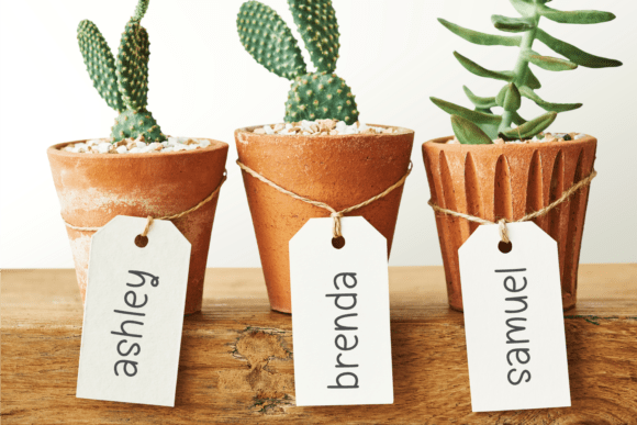 Spring Flowery Font - Image 4