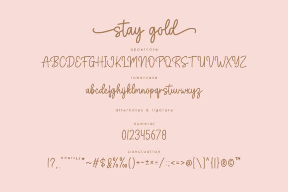Stay Gold Font - Image 8