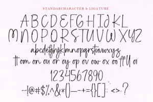 Alternative view of Stay Wonderland Font