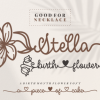 Stella Birth Flower Font