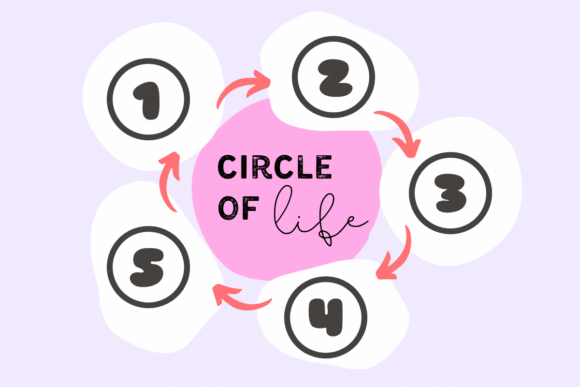 Sticker Circle Font - Image 5