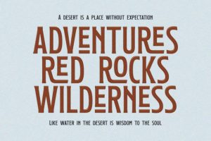 Alternative view of Stoneland Font