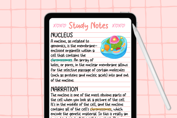 Strawberry Shortcake Font - Image 4