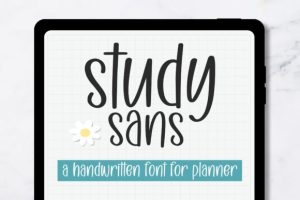 Study Sans Font