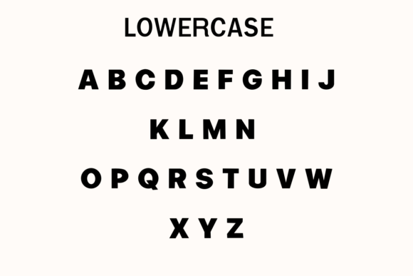 Summer Seashell Font - Image 2