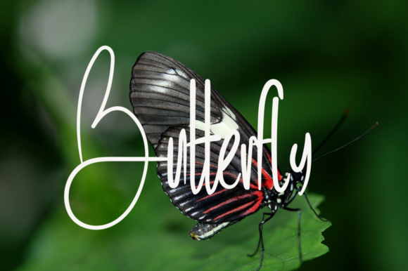 Sweet Butter Font - Image 4