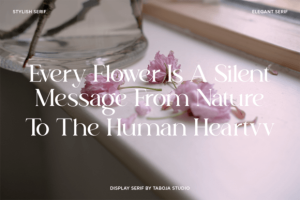 Alternative view of Talea Font