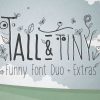 Tall & Tiny Font Duo Font