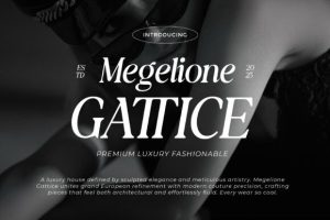 Alternative view of The Shuffle Font