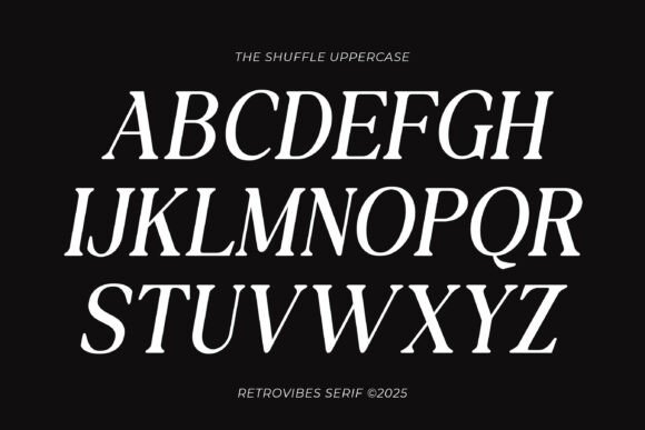 The Shuffle Font - Image 7