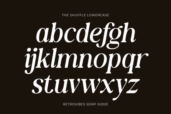 The Shuffle Font - Image 8