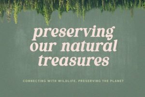 Alternative view of Thrive Wood Font