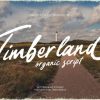 Timberland Font