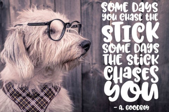 Trillian Font - Image 5