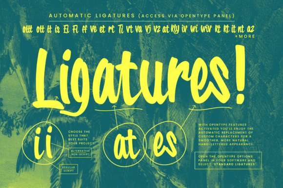 Tropical Carnival Font - Image 3