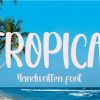 Tropical Font