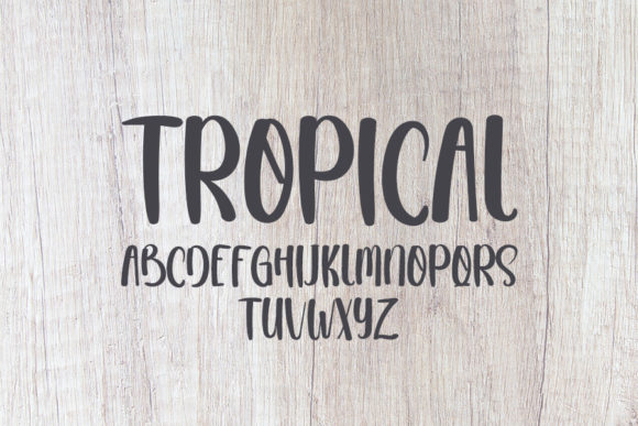 Tropical Font - Image 5
