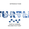 Turtle Summer Font