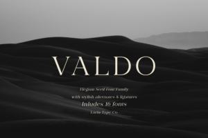 Valdo Font