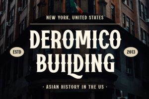 Alternative view of Vanzers Font