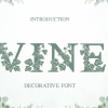 Vine Font