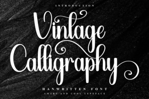 Vintage Calligraphy Font