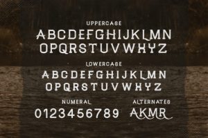 Alternative view of Waltham Font