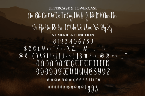 Western Font - Image 7