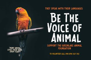 Alternative view of Wild Hunt Font