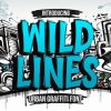 Wild Lines Font