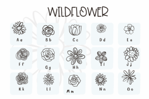 Alternative view of Wildflower Font