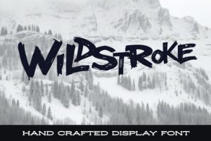 Wildstroke Font