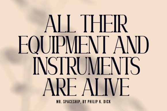 Willow Font - Image 3