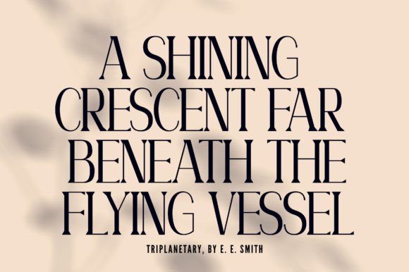 Willow Font - Image 6