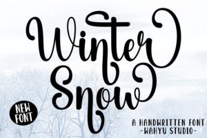 Winter Snow Font