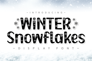 Winter Snowflakes Font
