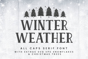 Winter Weather Font