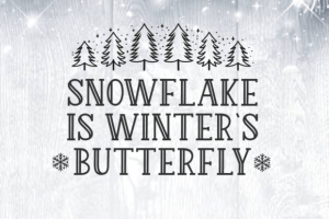 Alternative view of Winter Weather Font