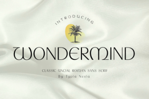 Wondermind Font