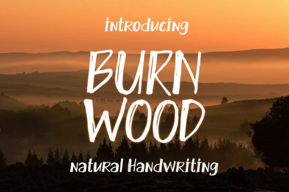 Burn Wood Font