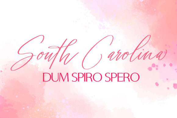 Signature Archive Font - Image 5